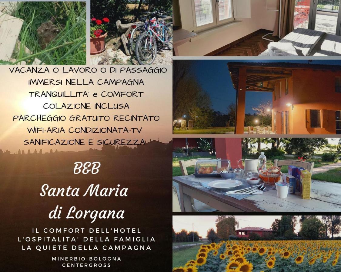 Santa Maria Di Lorgana Bed & Breakfast Minerbio Exterior photo