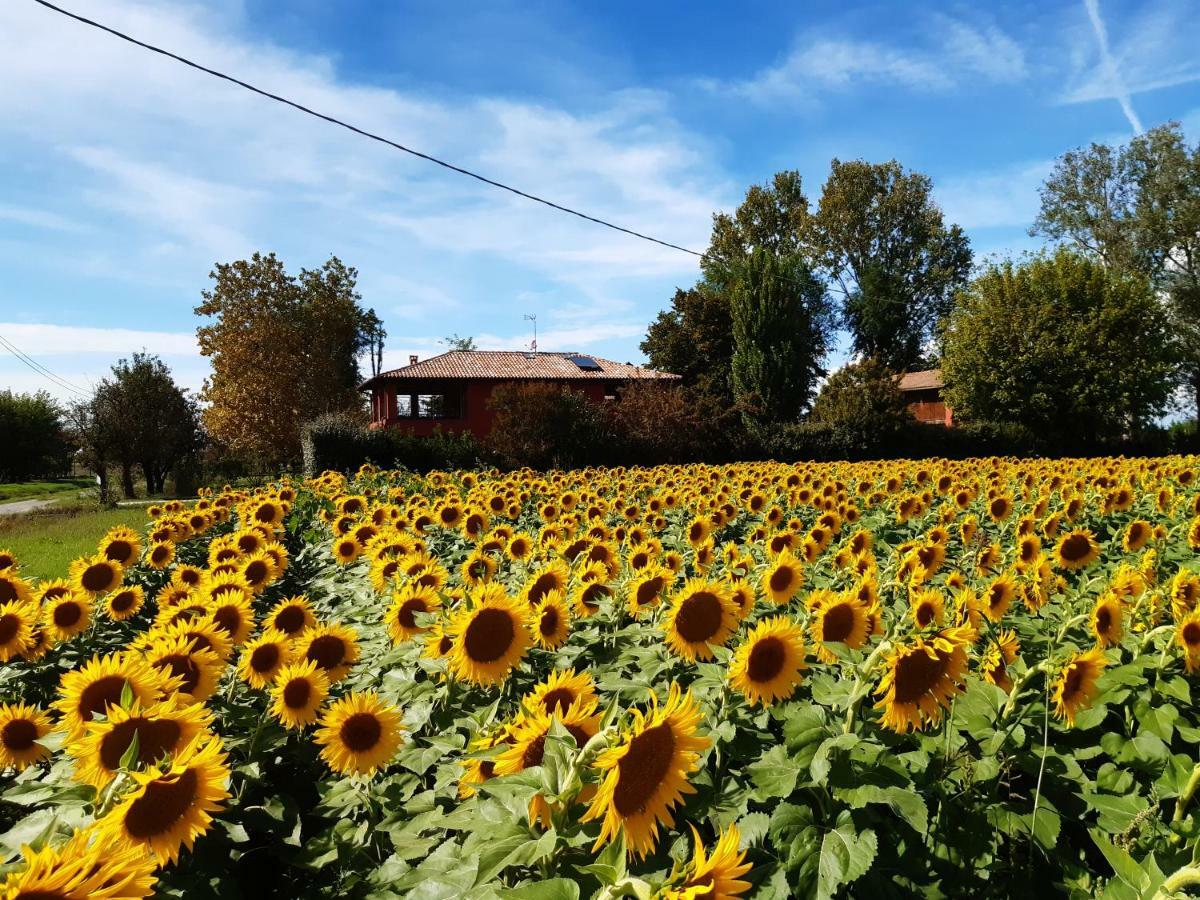 Santa Maria Di Lorgana Bed & Breakfast Minerbio Exterior photo