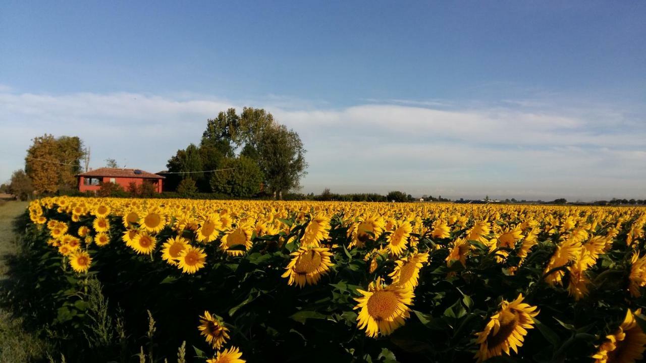 Santa Maria Di Lorgana Bed & Breakfast Minerbio Exterior photo